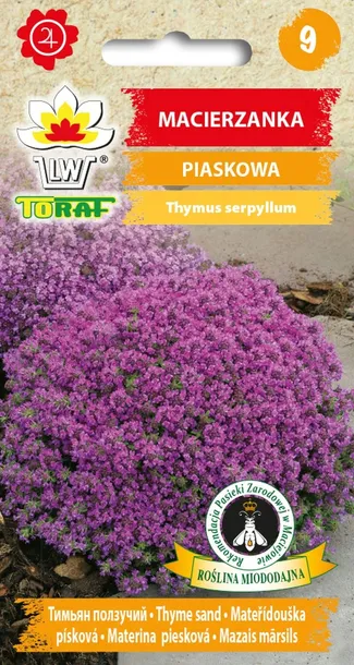 toraf-macierzanka-piaskowa-01g