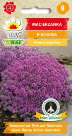 toraf-macierzanka-piaskowa-01g