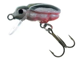 jaxon-wobler-h-s-beetle-2cm-1g-wolnotonacy-lu
