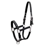 schockemohle-kantar-memphis-black-cob