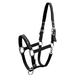 schockemohle-kantar-memphis-black-cob