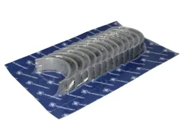 panewki-glowne-kpl-77682700-kbs