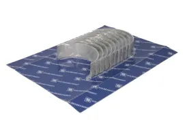 zestaw-panewek-walu-korbowego-77942600-kbs
