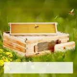 ul-drewniany-sredni-10-ramek-kod-producenta-vevor