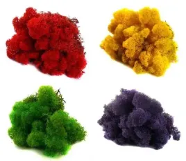 mech-chrobotek-reniferowy-mix-kolor-4-kolory-mix6