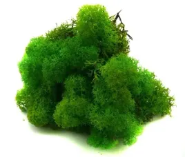 mech-ozdobny-chrobotek-reniferowy-50g-lt-gr-grass