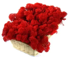 mech-chrobotek-reniferowy-200g-red