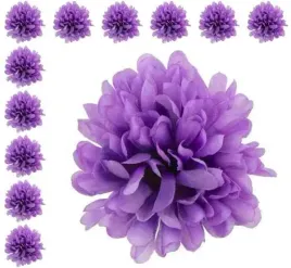 chryzantema-glowka-violet-12-szt-kwiaty