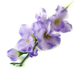 mieczyk-galazka-wys-48-cm-lt-violet