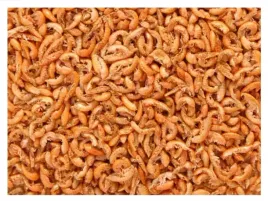 100g-glopex-kielz-syberyjski-suszony-naturalny-pokarm-dla-ryb-akwar