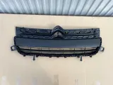 citroen-berlingo-2015-grill