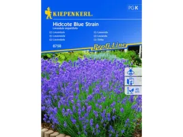 lawenda-waskolistna-hidcote-blue-strain-nasiona-kiepenkerl