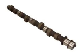 walek-rozrzadu-50006329-kbs