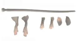 zestaw-naprawczy-savage-gear-lb-3d-rad-szczur-main