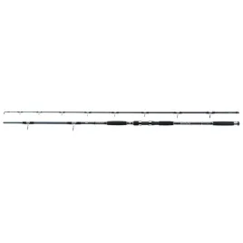 wedka-jaxon-eclatis-catfish-315m-2-up-to-500g