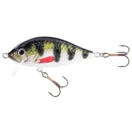 wobler-holo-select-karas-sw-70cm-f-oex-1szt