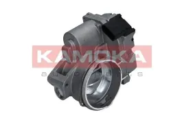 przepustnica-diesel-112010-kao