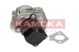 zawor-egr-19029-kao