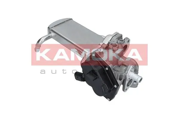 zawor-egr-19069-kao