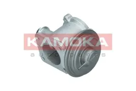zawor-egr-19062-kao