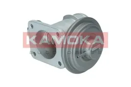 zawor-egr-19064-kao