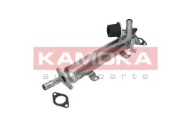 zawor-egr-19074-kao