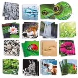 gra-memory-sensoryczne-struktury-natury-3d-akros-stan-nowy