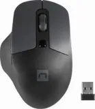 natec-blackbird-2