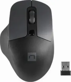 natec-blackbird-2