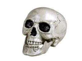 czaszka-na-halloween-z-ruchoma-szczeka-20-cm-1-szt