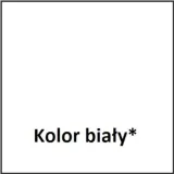 farba-polinak-3000-mat-10l-biala-stan-nowy