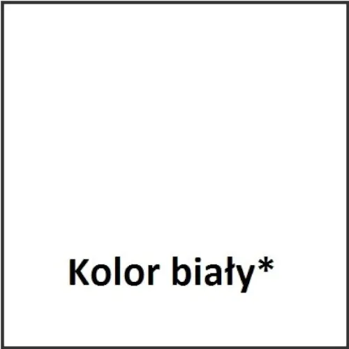 farba-polinak-3000-mat-10l-biala-stan-nowy