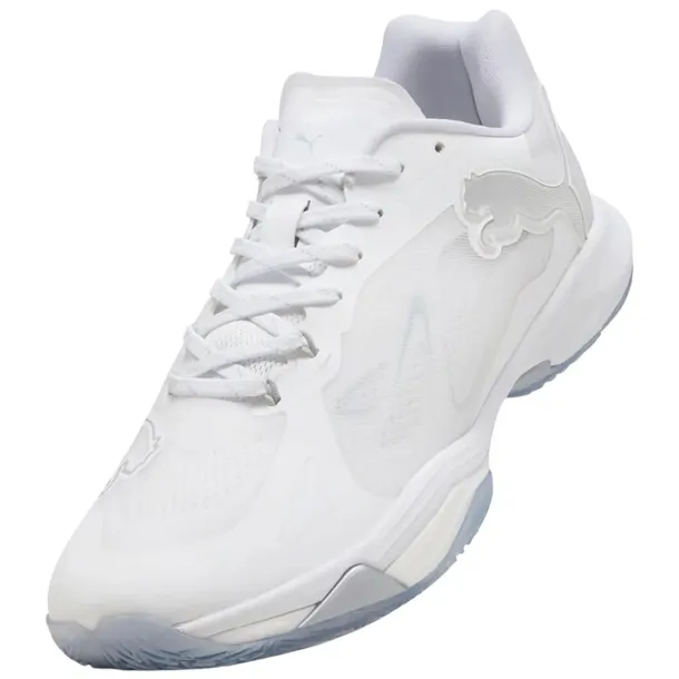 10856202-marka-puma