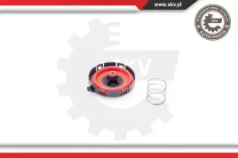 zawor-odmy-bmw-5-6-7-x5-3-6-4-8-31skv032-skv
