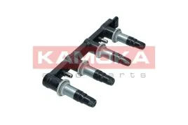 cewka-zaplonowa-7120023-kao