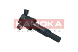 cewka-zaplonowa-7120006-kao