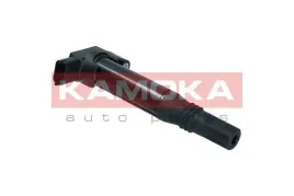 cewka-zaplonowa-7120019-kao