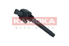 cewka-zaplonowa-7120156-kao