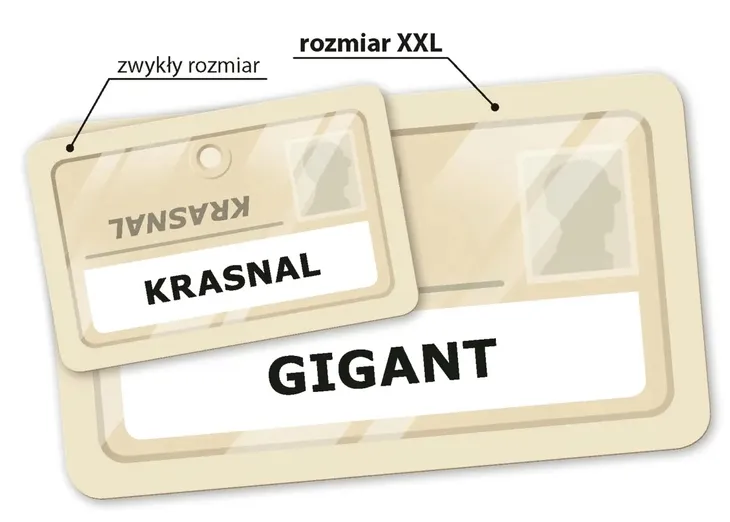 gra-rebel-tajniacy-jezyk-instrukcji-polska