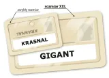 gra-rebel-tajniacy-jezyk-instrukcji-polska
