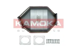 filtr-czastek-stalych-8010035-kao