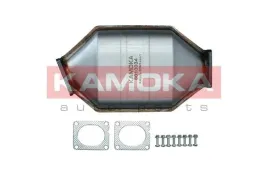 filtr-czastek-stalych-8010034-kao