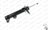amortyzator-c2508r-mon