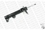 amortyzator-c2508r-mon-typ-samochodu-samochody-osobowe