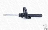 amortyzator-g16694-mon-typ-samochodu-samochody-dostawcze