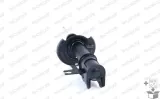 amortyzator-g8003-mon-numer-katalogowy-oryginalu-opel-344099-opel-344155-opel-344160-opel-344351-opel-344380-opel-344669-opel-344671-opel-344673-opel-344677-opel-93179397-opel-93179661-opel-93179679-opel-93179685-opel-93183826-opel-93195912-opel-93195915-opel-93195917-opel-93195965-vauxhall-93195912-vauxhall-93195917
