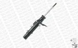 amortyzator-g8100-mon-typ-samochodu-samochody-dostawcze-samochody-osobowe