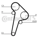 pasek-rozrzadu-ct891-contitech-producent-czesci-continental