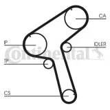 pasek-rozrzadu-ct917-contitech-producent-czesci-continental