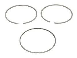 zestaw-pierscieni-tloka-209rs101000n0-mah